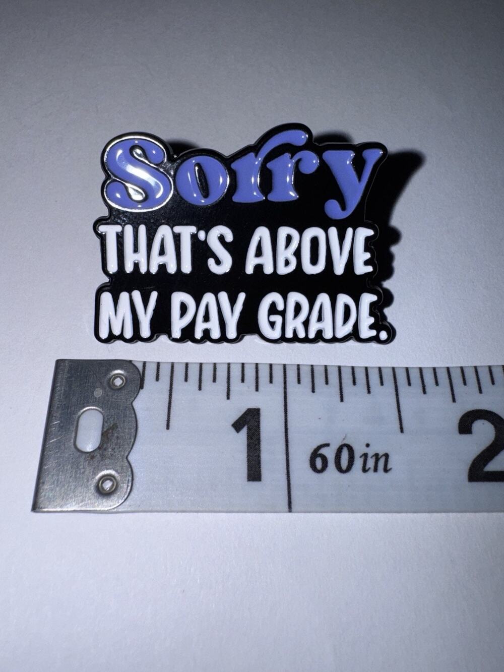 Sorry That’s Above My Pay Grade Script Pin Brooch